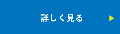 詳しく見る