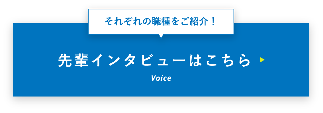 先輩インタビューを見る