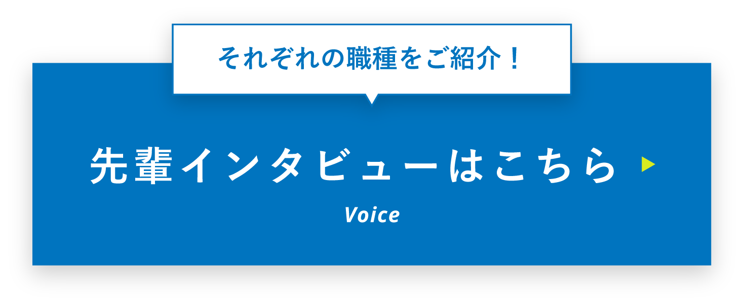 先輩インタビューを見る